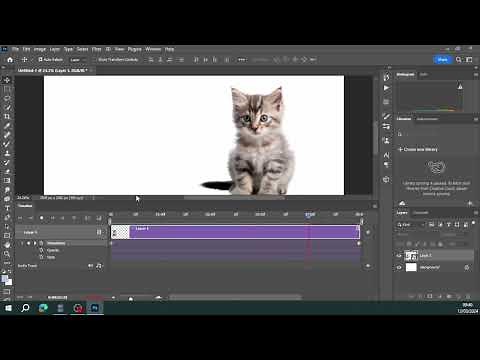 How to animate in Photoshop 2023 using transform