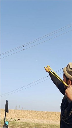 Amazing birds hunting with slingshot #birds hunting #hunting #huntingbirds #slingshot #birds!