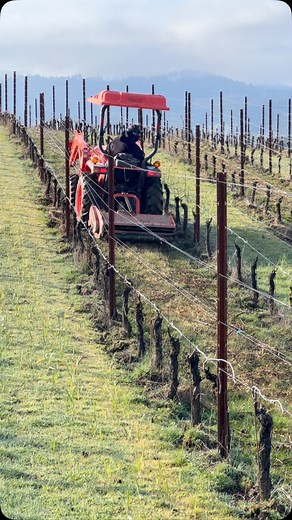 Flailing the prunings @anacreon.winery returning nutrition to the soil and getting ready for spring! #centuryvineyards #anacreonwinery #flailing #farming #wine #chehalemmountainsava #pinotnoir #chardonnay #safety | Evan Bellingar