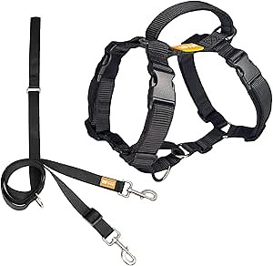 DF Martingale No Pull Dog Harness and Two Point Control Training Leash for Dog Walking Only Works with Martingale Harnesses, Black, Chest 33"-42.5"