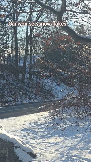 can you see snow flakes #flakes #snow #snowflakes