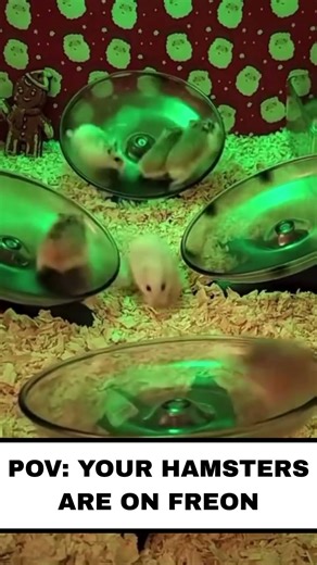 😅 One word: FREON 🐹