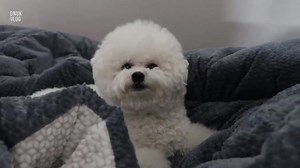 【onnuk/onuk】持续更新youtube上的韩国博主-VLOG视频合集-一个人做饭，喝茶，睡觉，在一个人的studio