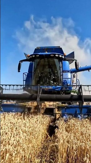 Massive New Holland Harvester in Action 🌾🚜 | Satisfying Wheat Harvest 4K