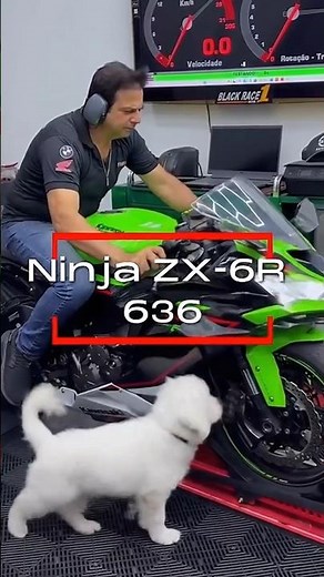 Kawasaki Ninja ZX6R 636cc😱. Amazing Top Speed😱. Fastest Bike In 600cc😱. Best Bike In Segment😱