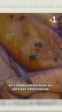 40 Years of Television in Mayotte: The Beginnings of Community Policing in Mayotte