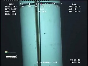 Massive sea monster caught on camera under oil-rig