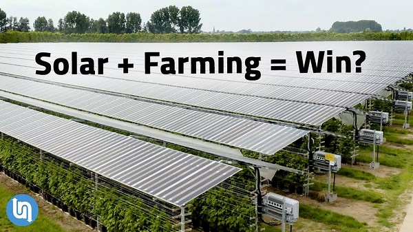 What's Keeping us from Combining Solar Panels and Farming?