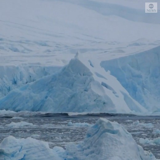 123K views · 4.6K reactions | A huge tower of ice—which scientists say was at least 130 feet high—split from the William Glacier and crashed into Borgen Bay, Anvers Island in Antarctica. https://abcn.ws/2H1aeMC | ABC News | Facebook