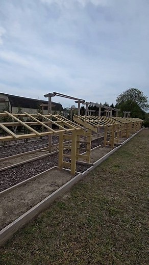 251K views · 2.3K reactions | 7 New Trellis DIY Project 𣏕勒﫛塞 #growyourownfood #backyardgarden #garden #trellis #gardeninspiration #gardenproject | Kabsat | Facebook