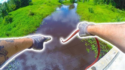 Whoever Keeps Doing This Needs To Stop!! GROSS (MAGNET FISHING)