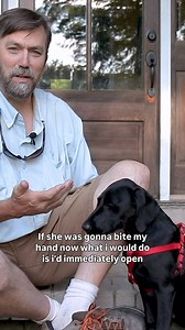 196K views · 1.2K reactions | We get this questions about puppy biting all the time. This is how we suggest correcting it. | Sporting Life Kennels | Facebook