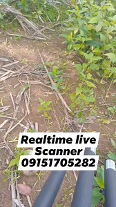 17K views · 135 reactions | Realtime live Scanner #fypシviralシ2024 #viralpost2024 #viralreels #viralvideoシ #fypシ゚ #viralpage #trend #travel #follow #viralpost | The Lost treasure | Facebook
