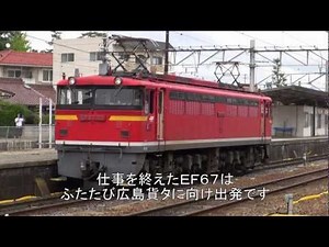 セノハチ 峠のシェルパ ＥＦ６７