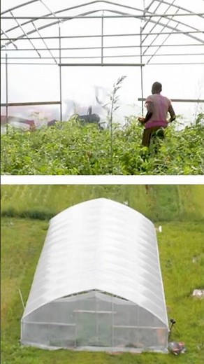 Benefits of Farming with High Tunnels
