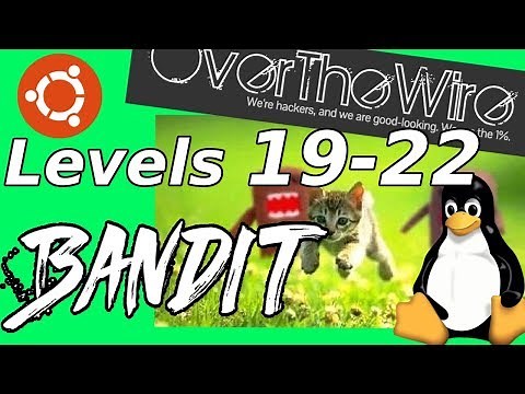 Linux Hacking: SETUID Binary, Netcat & Cron | Bandit: OverTheWire (Levels 19-22)