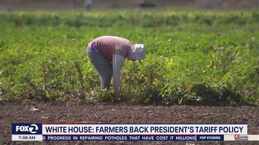 Tariffs affecting agriculture industry, farmers still support tariff policy