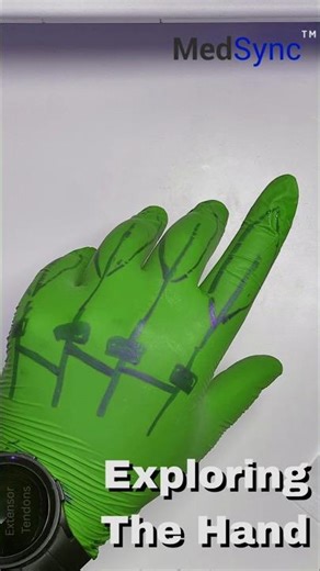 The LIVE Training Series. Register at medsyncltd.com/event #meded #doctor #medtsudent #medicalschool