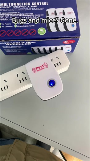 Effective Pest Control Solutions for Homes