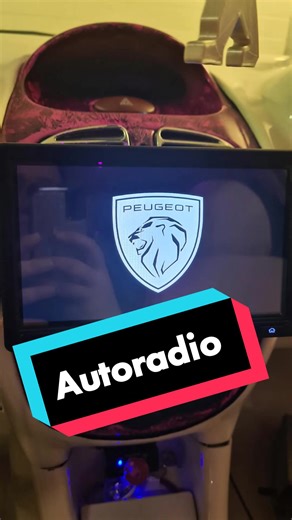 Installation de l'autoradio pour Peugeot 206