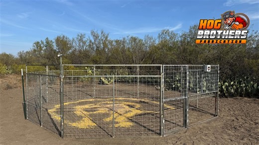 Another Hog Brothers setup on the move! 🚚🔥 Galvanized steel. Heavy-duty panels. Drop gate. Camera ready. Point us to the pigs — we’ll handle the rest. 🐗 #HogBrothersLLC #TrapSetup #HogControl #RanchLife #TexasBuilt #BuiltRight #NoMoreRooting | Hog Brothers
