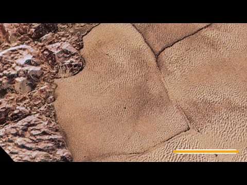 A Colorful ‘Landing’ on Pluto