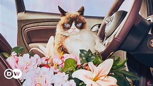 Grumpy Cat is the new face of Opel