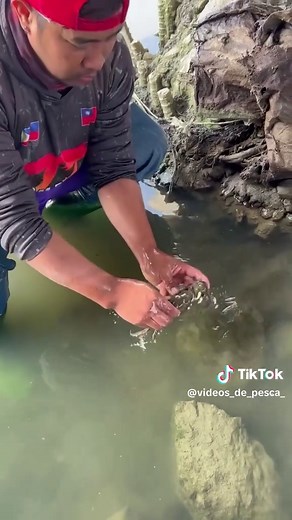 King Crab Catching Experience