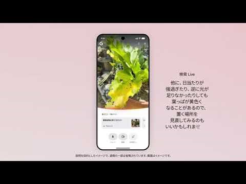 日本でもカメラをかざしながら「これ何？」とGeminiで検索可能に