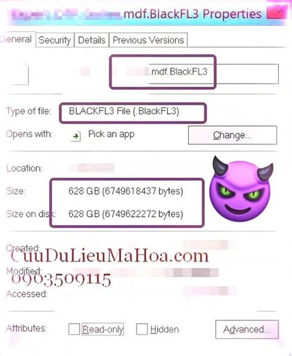 😈 BlackFL3 Ransomware & Trái Tim MDF hơn 600GB | #TEKPost129