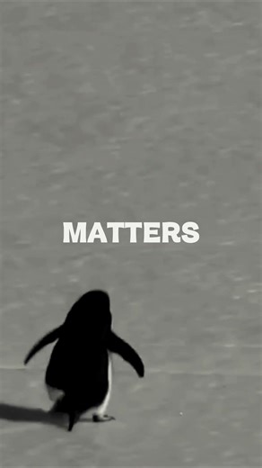 The Penguin Who Knew Too Much