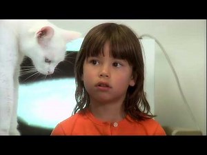 This Is Emily Yeung With the Humane Society