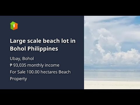 Large scale beach lot in Bohol Philippines