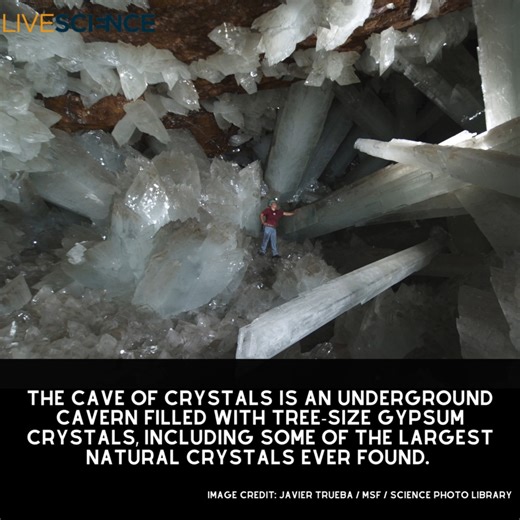 6.7K views · 116 reactions | The Cave of Crystals in Chihuahua, Mexico, is buried almost 1,000 feet (300 meters) beneath Earth's surface and contains giant gypsum crystal beams that are up to 37 feet (11 m) long. Read more  https://trib.al/bMLdBSD | LiveScience | Facebook