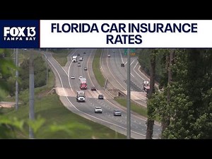 Florida car insurance rates among state's top insurers drop