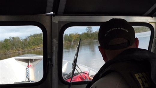 1.1K views · 23 reactions | Who is excited for moose season?...