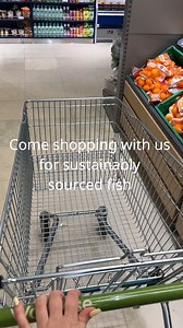 Come shopping with us for sustainably sourced fish! 🐟 With over 1,500 MSC-certified products in the UK & Ireland it's never been easier to choose seafood with the blue MSC ecolabel. Whether you're looking for frozen, chilled or tinned seafood, in most supermarkets you’ll be spoilt for sustainable choices. 💙 Next time you’re out doing your weekly shop, why not see how many times you can spot the blue MSC ecolabel? 🛒 | MSC in the UK - Certified Sustainable Seafood