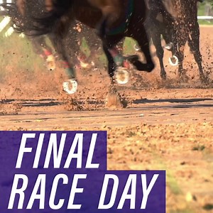 Don't miss it! TONIGHT is the last night of live racing this season at Prairie Meadows.  Be here at 6pm to see the horses thunder down the track one last time. Come out and cheer them on! | Prairie Meadows Casino, Racetrack & Hotel | Facebook