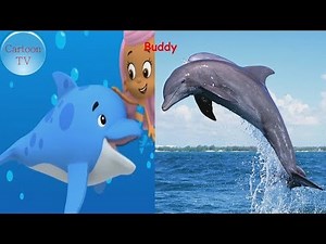 Bubble Guppies Characters In Real Life 2018