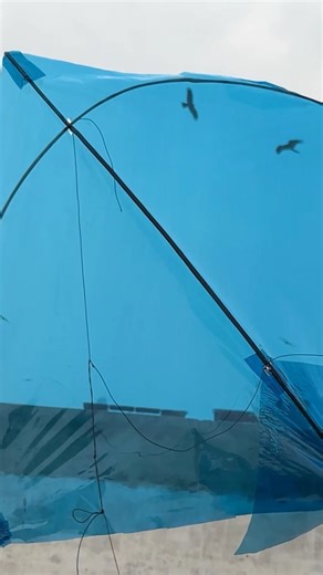 Water paper kite making and flying #kite #diy #crafts #tutorial #how #kiteflying #tarzankites