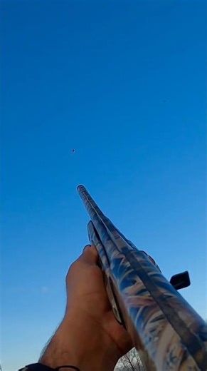 Watch how fast this one was flying when got hit ! #duckhunting #birdhunting #hunting ‪@bossshotshells‬