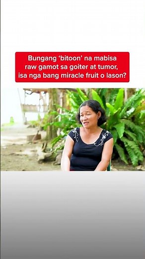 ‘Bitoon’ na mabisa raw gamot sa goiter at tumor, miracle fruit o lason? | Kapuso Mo, Jessica Soho
