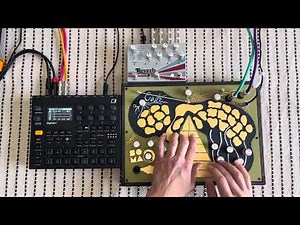 Digitakt 2 & Enner | Ambient Soundscapes with Empress Reverb