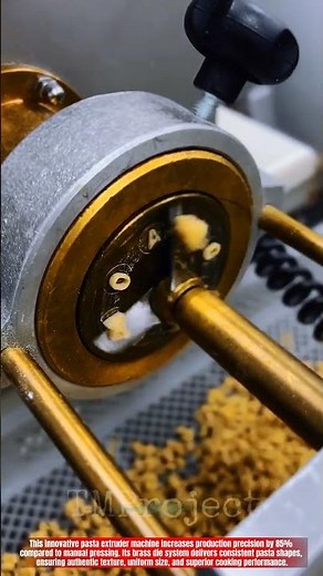 Innovative Pasta Extruder Machine Technology: Best Precision Shaping Action