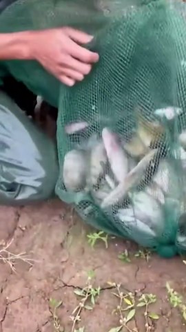 Epic Fishing Adventures by Fast Water Runs