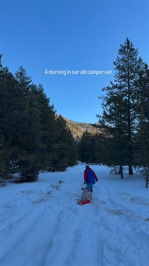 sky | adventure mom on Instagram: "A quiet morning in our old camper van..🌲❄️🏕️🚘🚗🏔️ . . . #familyadventures #🏔 #campervan #mountainlovers #adventurefamily"