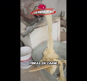 ¿Comerías esta carne proteica procesada hecha en máquina?