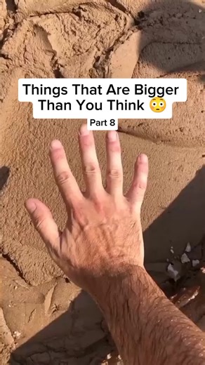 Objetos Que Son Más Grandes De Lo Que Piensas