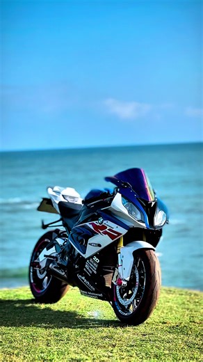 Exploring The Joyful Moments of Life