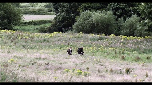 Among the Living (2022) Official Trailer